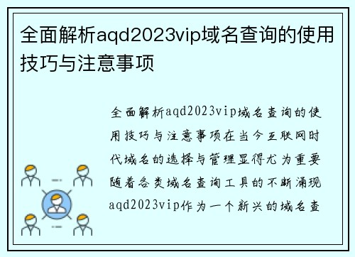 全面解析aqd2023vip域名查询的使用技巧与注意事项